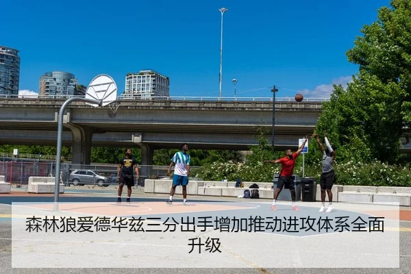 森林狼爱德华兹三分出手增加推动进攻体系全面升级